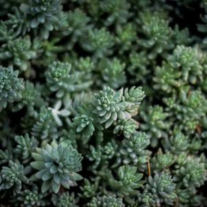 居家轻调的节气智慧：跟着自然过日子